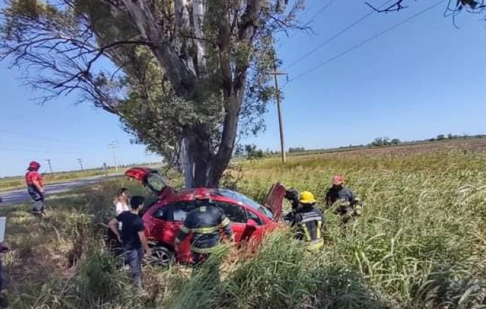 Un auto chocó un árbol en San Francisco